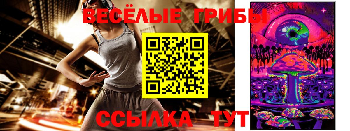Псилоцибиновые грибы Cubensis Краснознаменск